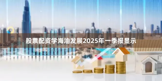 股票配资学海油发展2025年一季报显示